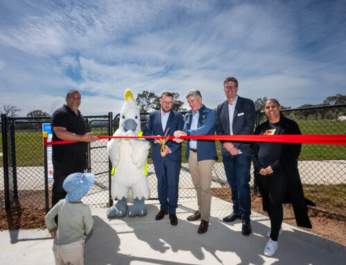 September Community News: South Jerrabomberra Dog Park officially opens!