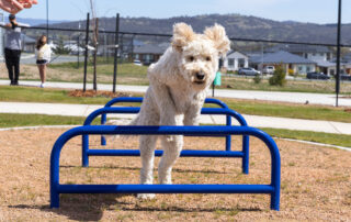 2025-09-27 Sth Jerra dog park opening