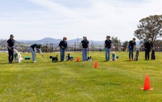 2025-09-27 Sth Jerra dog park opening