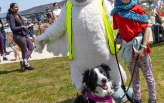 2025-09-27 Sth Jerra dog park opening