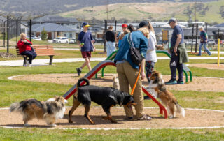 2025-09-27 Sth Jerra dog park opening
