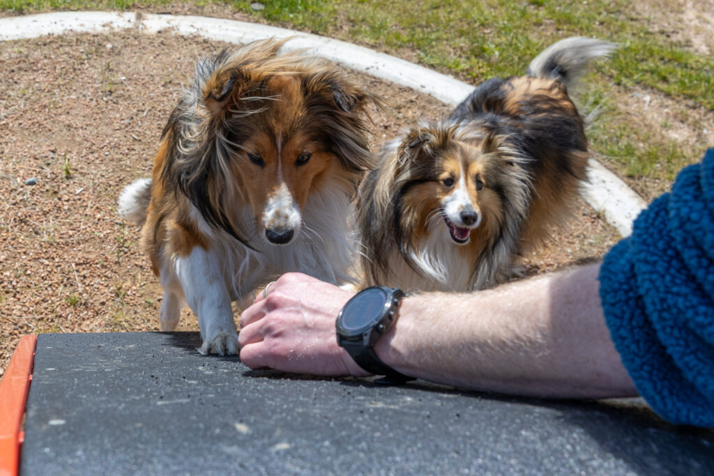 2025-09-27 Sth Jerra dog park opening